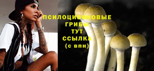 амф Няндома