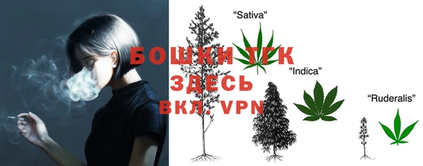 амф Няндома