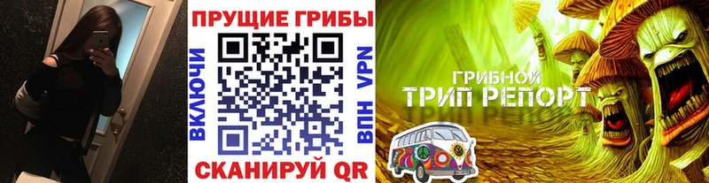 Галлюциногенные грибы GOLDEN TEACHER  закладки  Алзамай 